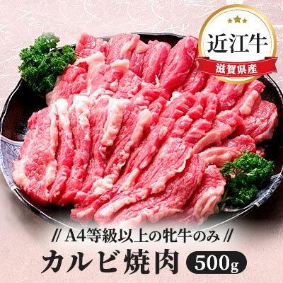 【ふるさと納税】【A4等級以上の牝牛のみ使用！！】近江牛カルビ焼肉500g　お肉・牛肉・バラ・カルビ・焼肉・バーベキュー・日本三大和牛・近江牛・焼き肉・A4