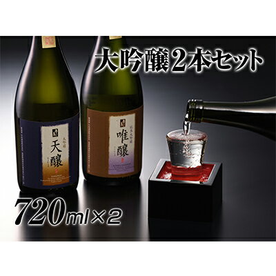 [竹内酒造]大吟醸2本セット 720ml×2本 [お酒・日本酒・大吟醸酒・大吟醸・アルコール]