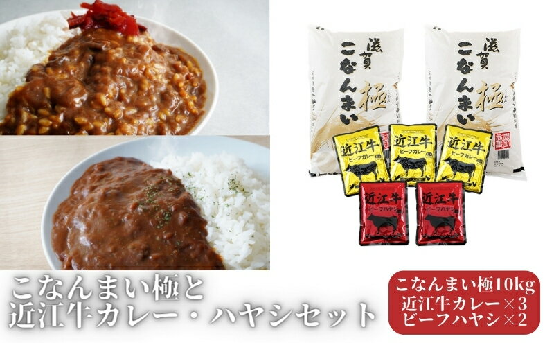 【ふるさと納税】こなんまい極10kgと近江牛カレー・ハヤシセット　【ブレンド米・加工食品・惣菜・レトルト・近江牛カレー・ハヤシライス】