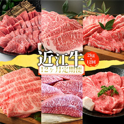 【ふるさと納税】【定期便】近江牛2kgを12回お届け！【牛肉商 徳志満】　【定期便・ お肉 近江牛 焼肉用 ステーキ しゃぶしゃぶ サイコロステーキ すき焼き 】