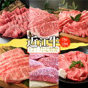 【ふるさと納税】【定期便】近江牛2kgを12回お届け!【牛肉商 徳志満】 お肉 焼肉用 ステーキ しゃぶしゃぶ サイコロステーキ すき焼き
