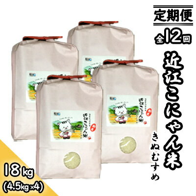 【ふるさと納税】【定期便-12回】近江こにゃん米「きぬむすめ」【18kg】毎月お届け　【定期便・ お米 ...