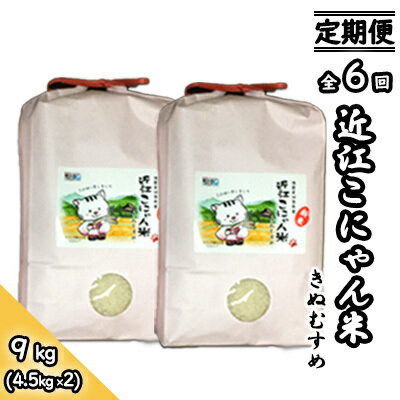 16位! 口コミ数「0件」評価「0」【定期便-6回】近江こにゃん米「きぬむすめ」【9kg】6か月間お届け　【定期便・ お米 米 上白精米 】