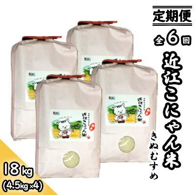 【定期便-6回】近江こにゃん米「きぬむすめ」【18kg】6か月間お届け　【定期便・ お米 米 上白精米 】