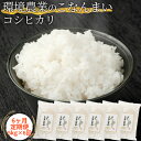 【ふるさと納税】【6ヶ月定期便】環境農業のこなんまい コシヒカリ5kg　【定期便・ お米 おにぎり 】