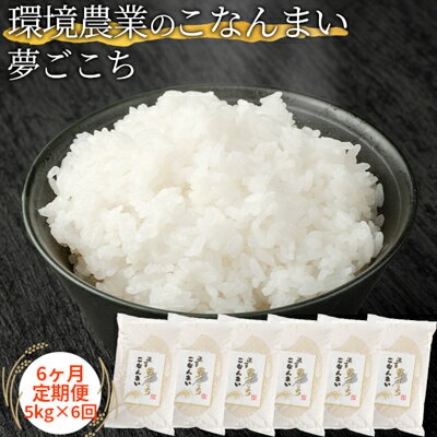 14位! 口コミ数「0件」評価「0」【6ヶ月定期便】環境農業のこなんまい 夢ごこち5kg　【定期便・ お米 おにぎり 】