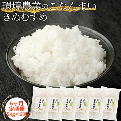 25位! 口コミ数「0件」評価「0」【6ヶ月定期便】環境農業のこなんまい きぬむすめ5kg　【定期便・ お米 おにぎり 】