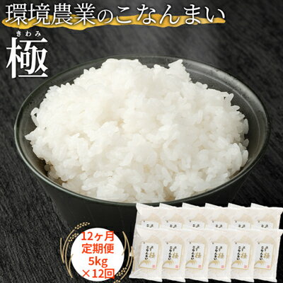 8位! 口コミ数「0件」評価「0」【12ヶ月定期便】環境農業のこなんまい 極5kg　【定期便・ お米 おにぎり 】