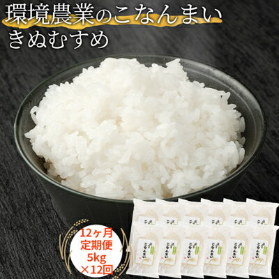 20位! 口コミ数「0件」評価「0」【12ヶ月定期便】環境農業のこなんまい きぬむすめ5kg　【定期便・ お米 おにぎり 】