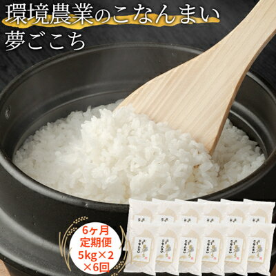 14位! 口コミ数「0件」評価「0」【6ヶ月定期便】環境農業のこなんまい 夢ごこち10kg　【定期便・ お米 おにぎり 】