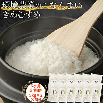 12位! 口コミ数「0件」評価「0」【6ヶ月定期便】環境農業のこなんまい きぬむすめ10kg　【定期便・ お米 おにぎり 】