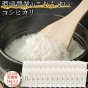 6位! 口コミ数「0件」評価「0」【12ヶ月定期便】環境農業のこなんまい コシヒカリ10kg　【定期便・ お米 おにぎり 】