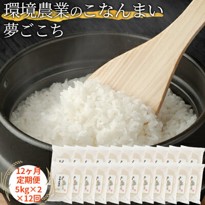 7位! 口コミ数「0件」評価「0」【12ヶ月定期便】環境農業のこなんまい 夢ごこち10kg　【定期便・ お米 おにぎり 】