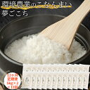 【ふるさと納税】【12ヶ月定期便】環境農業のこなんまい 夢ごこち10kg お米 おにぎり