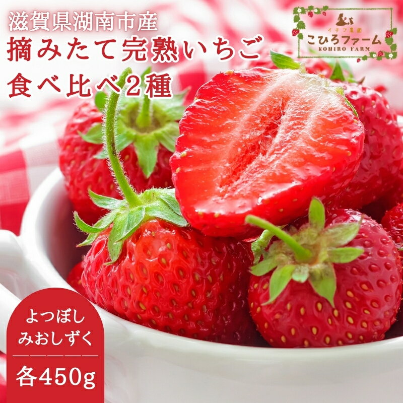 【ふるさと納税】【贈答用】滋賀県湖南市産　摘みたて完熟いちご食べ比べ2種（よつぼし・みおしずく）各約450g　お届け：2025年1月10日～4月上旬までのサムネイル