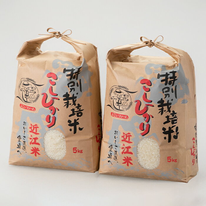 【ふるさと納税】【令和7年産　新米】【C-546】よこいファーム 特別栽培米コシヒカリA　10kg（5kg×2） ［高島屋選定品］
