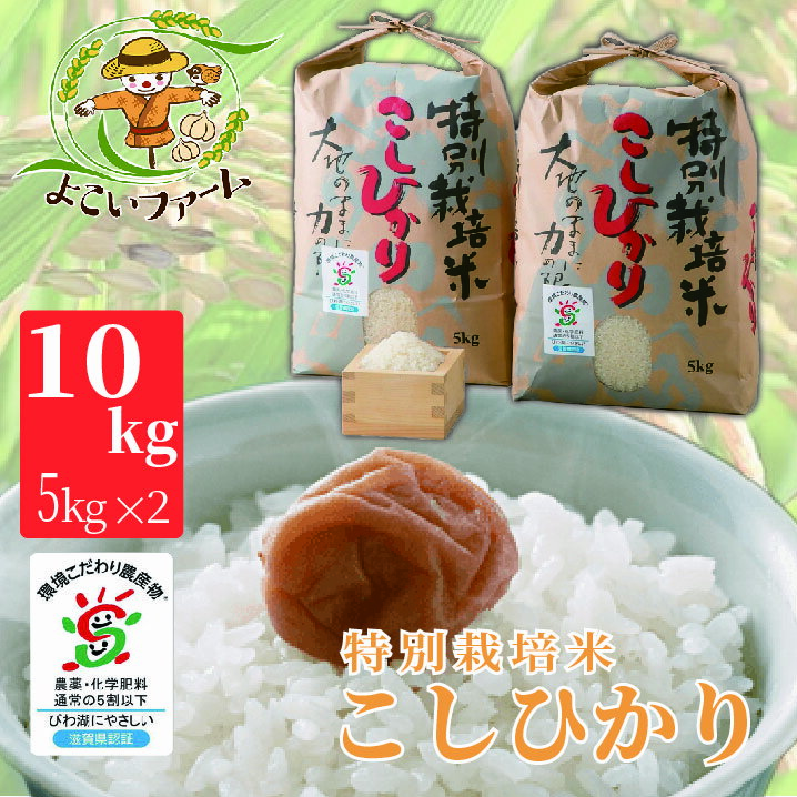 【C-546】よこいファーム 特別栽培米コシヒカリA　10kg（5kg×2） ［高島屋選定品］