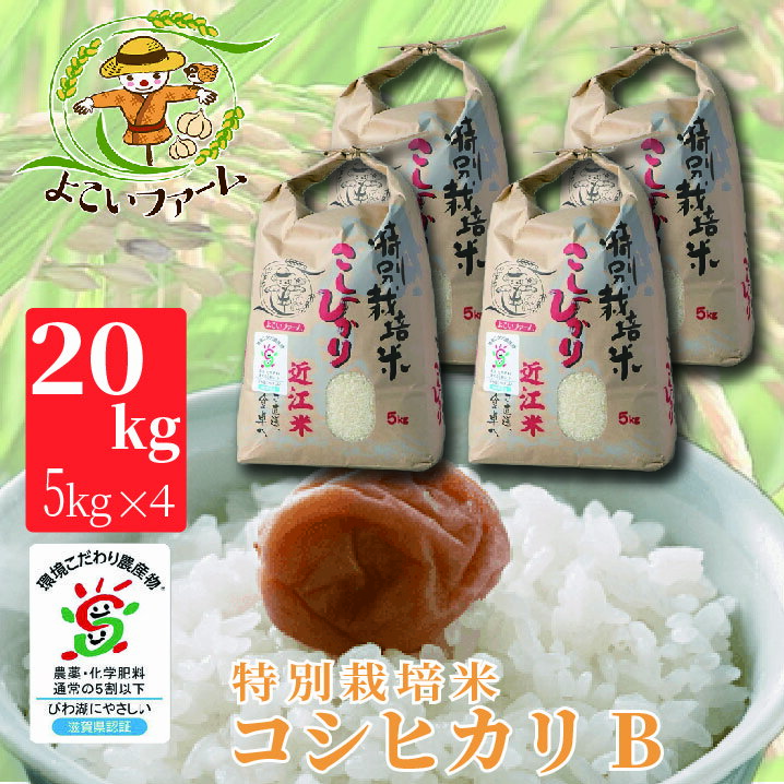 【C-547】よこいファーム 特別栽培米コシヒカリB　20kg（5kg×4） ［高島屋選定品］