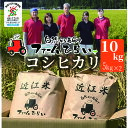 2位! 口コミ数「0件」評価「0」【C-995】ファーム ひらい　滋賀県環境こだわり米コシヒカリ10kg（5kg×2）白米［高島屋選定品］