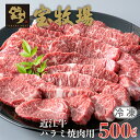 近江牛 【ふるさと納税】【A-353】宝牧場 近江牛 ハラミ焼肉用 500g［高島屋選定品］