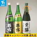 【ふるさと納税】【期間限定高島市感謝キャンペーン】【T-72...