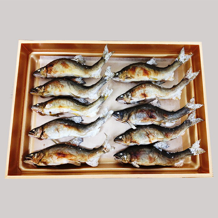 【B-608】 井保水産 鮎塩焼き10尾［高島屋選定品］