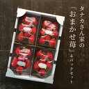 【ふるさと納税】 農家さんのおまかせ苺4パックセット 果物 くだもの 苺 いちご 新鮮 しんせん 農園直送 楽天 寄付 返礼品 お歳暮 ギフト プレゼント お祝...