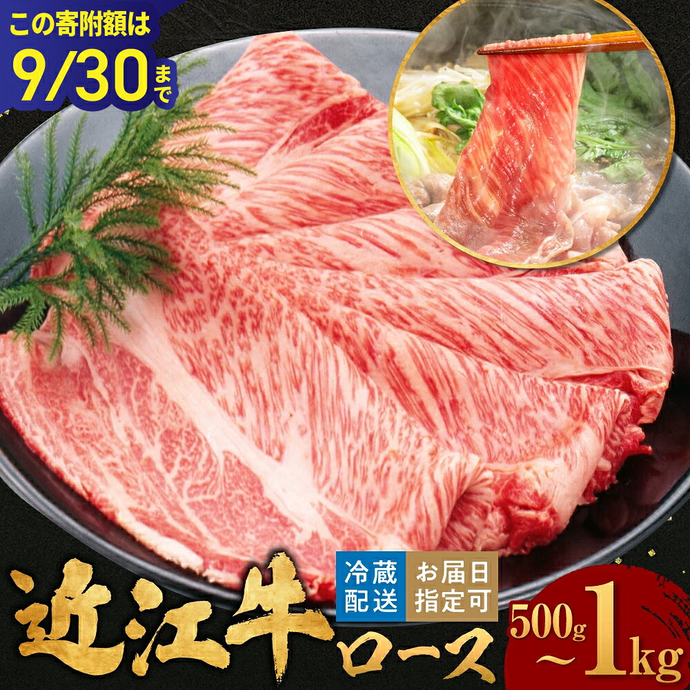 [この寄附額は9/30まで]近江牛ロースすき焼き 500g 600g 1kg 肉の大助 滋賀県 東近江市 和牛 牛肉 すき焼き すきやき ロース肉 霜降り A4 A5ランク 高級 ブランド牛