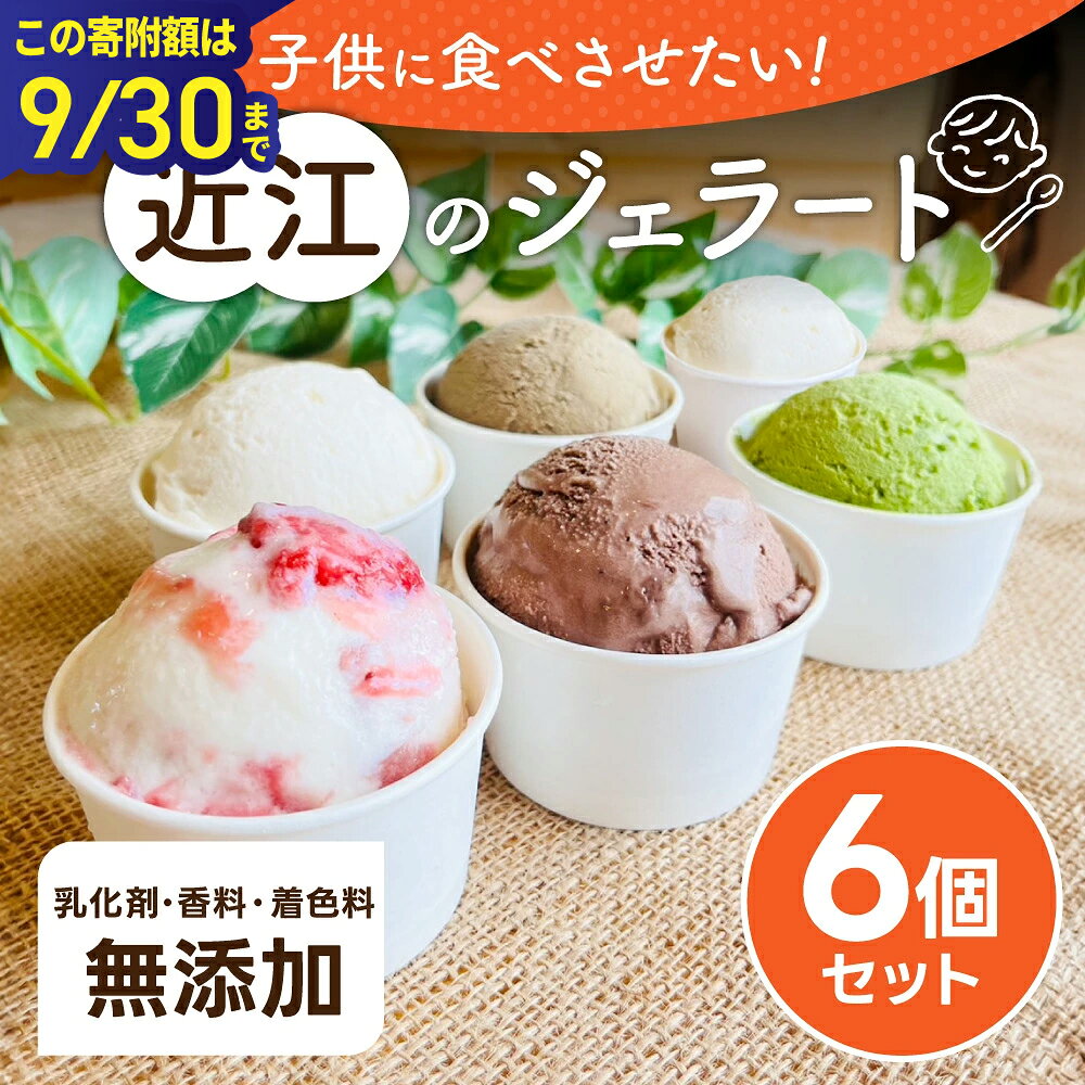 [この寄附額は9/30まで]近江のジェラート (6個セット) かなめカフェ 滋賀県 東近江市 O-E07 ジェラート アイス アイスクリーム 滋賀 近江 スイーツ ギフト
