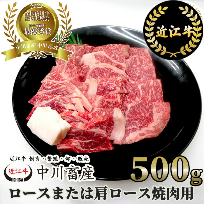 【ふるさと納税】 中川牧場 近江牛 ロース または 肩ロース 焼肉用 500g 高島屋選定品 令和4年度 全国肉用牛枝肉共励会 最優秀賞受賞 ブランド牛 牛肉 高級 人気 国産 楽天 寄付 返礼品 お歳暮 ギフト プレゼント お祝い 贈り物 ふるさと納税 C-E10 中川畜産