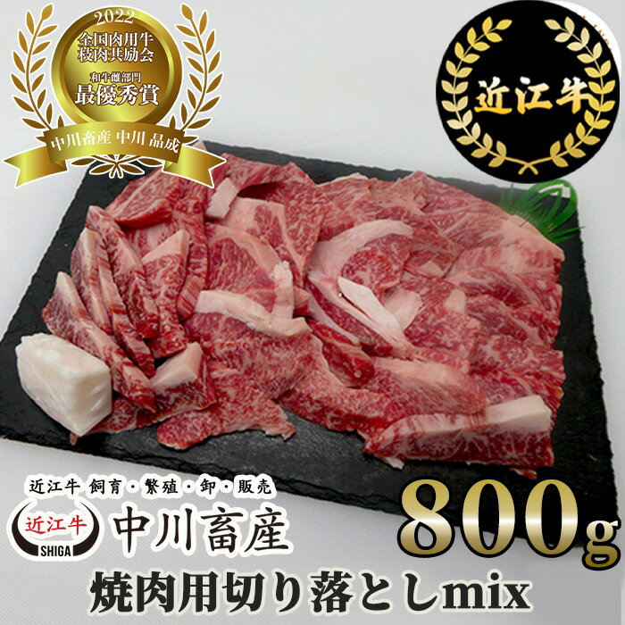 近江牛 【ふるさと納税】中川牧場 近江牛 焼肉用 切り落とし ミックス 800g 高島屋選定品｜中川畜産 C-E11 令和4年度 全国肉用牛枝肉共励会 最優秀賞受賞