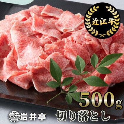 岩井亭 近江牛 切り落とし 500g 高島屋選定品｜A-E16