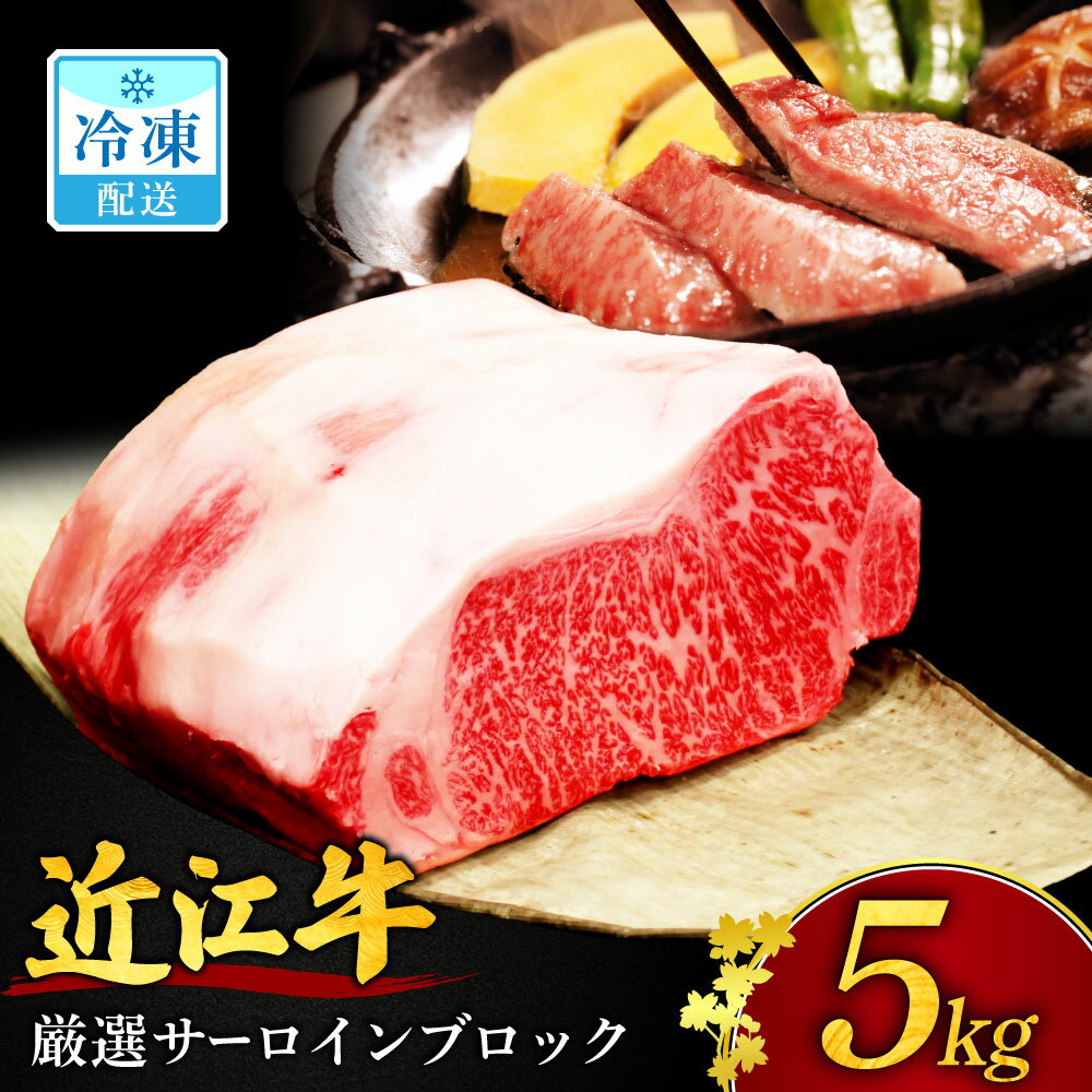 【ふるさと納税】近江牛5kgサーロインブロック 近江牛 厳選ブロック肉 5kg 安田牧場
