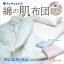 【ふるさと納税】 綿の肌布団(ミントブルー、ヌーディモーヴ) 日本製 寝具 睡眠 安眠 快眠 布団 掛布団 肌布団 寝心地 楽天 返礼品 寄付 お歳暮 滋賀県 ...