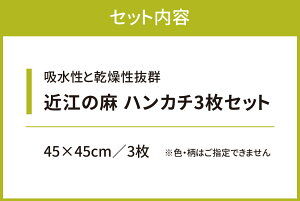 【ふるさと納税】 「近江の麻」 ハンカチ 3枚セット 植物繊維 タオル ハンドタオル 楽天 返礼品 寄付 お歳暮 ギフト プレゼント お祝い 贈り物 故郷納税 東近江 近江 A-C01 麻絲商会