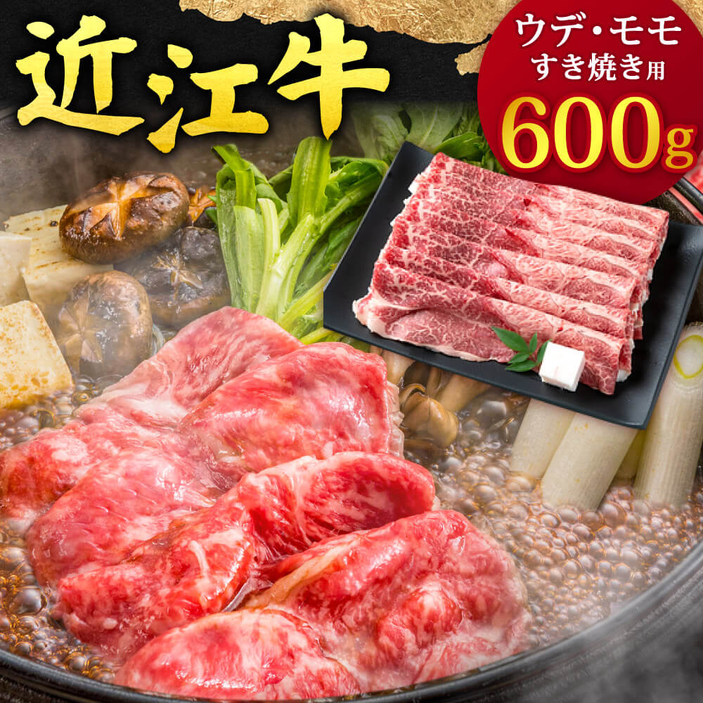 【ふるさと納税】 近江牛 ウデ ・ モモ すき焼用 600g 牛肉 美味しい ブランド牛 高級 人気 国産 楽天 寄付 返礼品 お歳暮 ギフト プレゼント お祝い 贈り物 ふるさと納税 近江 東近江 B-G04 本多商店