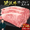 【ふるさと納税】 近江牛 サーロイン ステーキ 250g×3枚 （箱なしエコ包装） ブランド牛 牛肉 高級 人気 国産 楽天 寄付 返礼品 お歳暮 ギフト プレゼント お祝い 贈り物 ふるさと納税 近江 東近江 H04 いろは精肉店