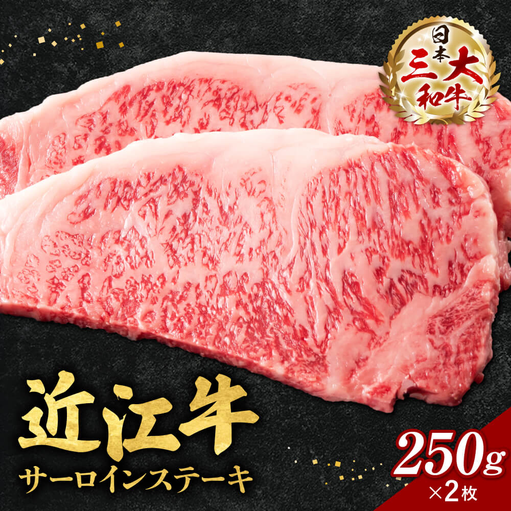 近江牛 サーロイン ステーキ 250g×2枚 (箱なしエコ包装) ブランド牛 牛肉 高級 人気 国産 楽天 寄付 返礼品 お歳暮 ギフト プレゼント お祝い 贈り物 ふるさと納税 近江 東近江 E-E05 いろは精肉店