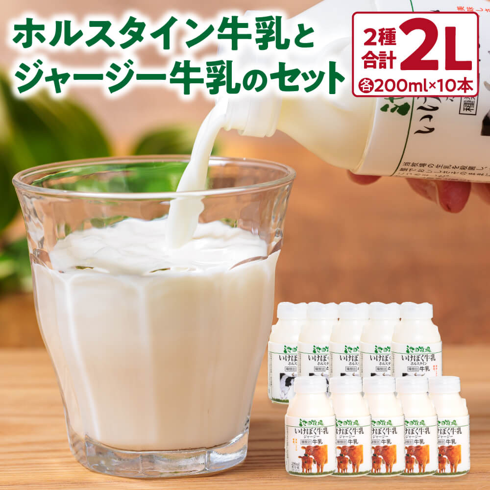 【ふるさと納税】 いけぼく牛乳ホルスタイン・ジャージーセット