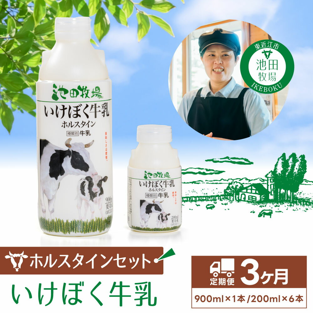 いけぼく牛乳ホルスタインセット3か月定期便