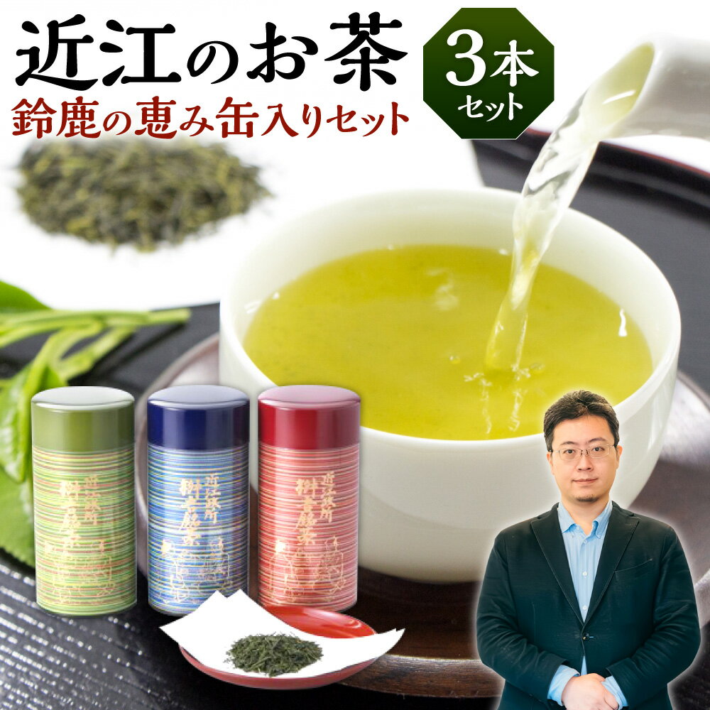 【ふるさと納税】 近江のお茶 鈴鹿の恵み缶入りセット お茶 茶葉 茶 緑茶 楽天 寄付 返礼品 お歳暮 ギフト プレゼント お祝い 贈り物 ふるさと納税 滋賀県 東近江 近江 B16 銘茶ますきち 1