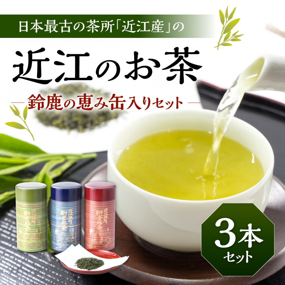 【ふるさと納税】 近江のお茶 鈴鹿の恵み缶入りセット お茶 茶葉 茶 緑茶 楽天 寄付 返礼品 お歳暮 ギフト プレゼント お祝い 贈り物 ふるさと納税 滋賀県 東近江 近江 B16 銘茶ますきち 2