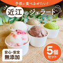 1位! 口コミ数「24件」評価「4.71」 近江のジェラート (5個セット) ジェラート アイス デザート 楽天 返礼品 寄付 お歳暮 お祝い 贈り物 故郷納税 滋賀県 近江 東近江 O-E07 かなめカフェ
