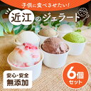 【ふるさと納税】近江のジェラート (6個セット) かなめカフェ 滋賀県 東近江市 O-E07 ジェラート アイス アイスクリーム 滋賀 近江 スイーツ ギフト