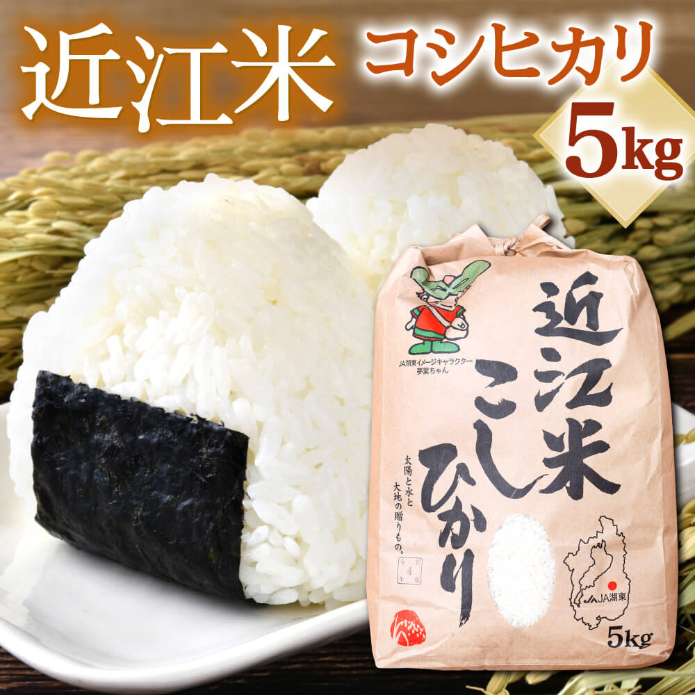  （令和5年産 新米） 滋賀県東近江市産近江米コシヒカリ5kg コシヒカリ こしひかり お米 白米 ご飯 一人暮らし 常温保存 備蓄 楽天 返礼品 寄付 お歳暮 お祝い 贈り物 故郷納税 滋賀県 東近江 近江 A35 あいとうマーガレットステーション