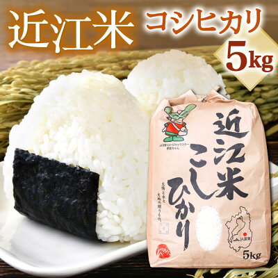 楽天ふるさと納税　【ふるさと納税】 （令和5年産 新米） 滋賀県東近江市産近江米コシヒカリ5kg コシヒカリ こしひかり お米 白米 ご飯 一人暮らし 常温保存 備蓄 楽天 返礼品 寄付 お歳暮 お祝い 贈り物 故郷納税 滋賀県 東近江 近江 A35 あいとうマーガレットステーション