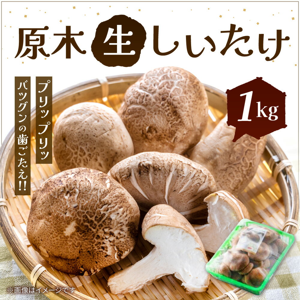 【ふるさと納税】 原木生しいたけ（1Kg） 椎茸 シイタケ しいたけ 野菜 自然 おいしい 楽天 寄付 返礼品 お歳暮 ギフト プレゼント お祝い 贈り物 ふるさと納税 滋賀県 東近江 近江 O-G08 特定非営利活動法人たけのこ