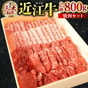 近江牛 【ふるさと納税】 近江牛 焼肉 セット（モモ・バラ） 各400g 計800g ブランド牛 牛肉 高級 人気 国産 楽天 寄付 返礼品 お歳暮 ギフト プレゼント お祝い 贈り物 ふるさと納税 C-E12 株式会社びわこフード(近江牛専門店 万葉)