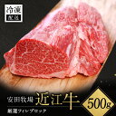【ふるさと納税】厳選フィレブロック 500g 安田牧場 滋賀県 東近江市 H-D03 近江牛 フィレ ステーキ ローストビーフ