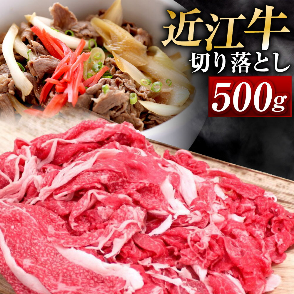 近江牛 切り落とし 500g ブランド牛 牛肉 高級 人気 国産 和牛 黒毛和牛 冷凍 牛肉 牛 ブランド 三大和牛 牛丼 カレー 惣菜 おかず 切落し 切り落し 贈り物 ギフト 神戸牛 松阪牛 に並ぶ 日本三大和牛 楽天 寄付 返礼品 お歳暮 近江 東近江 A-B16 安田牧場